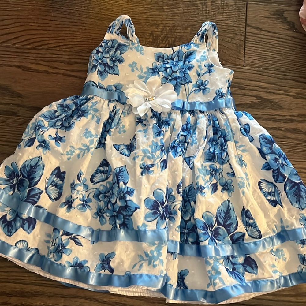 Sweet Heart Rose 2T Dress